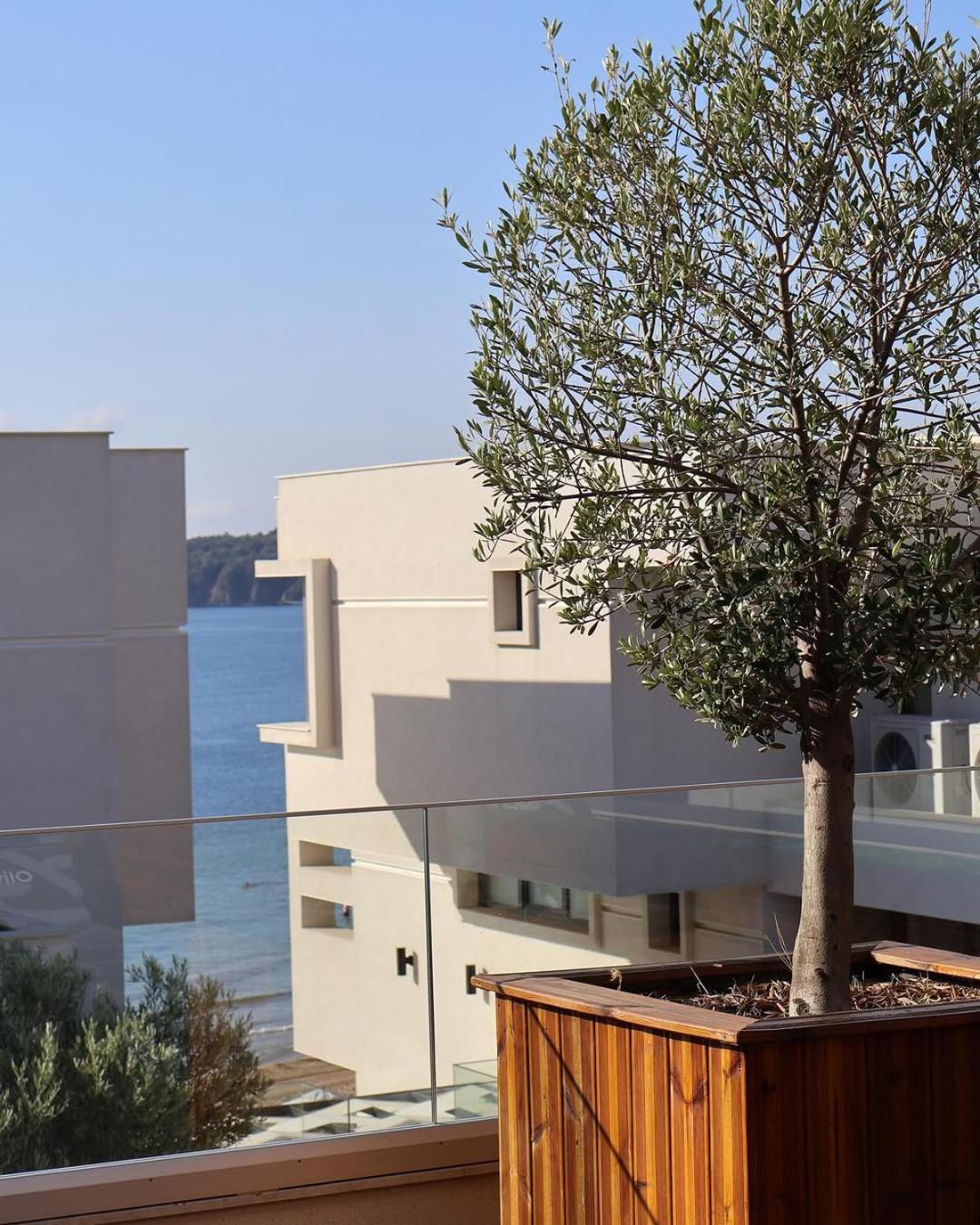Olive Villas Beach Hotel Sozopol Buitenkant foto